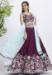 Picture of Splendid Net Brown Lehenga Choli