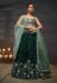 Picture of Marvelous Chiffon & Net Sea Green Lehenga Choli