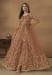 Picture of Delightful Net Sienna Anarkali Salwar Kameez