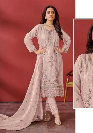 Picture of Georgette & Organza Tan Straight Cut Salwar Kameez