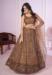 Picture of Exquisite Georgette & Net Rosy Brown Lehenga Choli