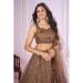 Picture of Exquisite Georgette & Net Rosy Brown Lehenga Choli