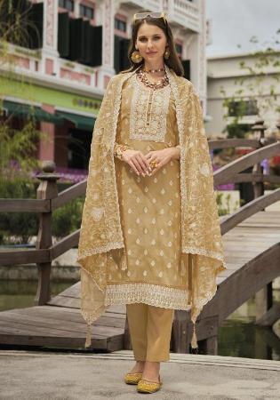 Picture of Splendid Organza Dark Khaki Readymade Salwar Kameez