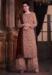 Picture of Nice Net Tan Straight Cut Salwar Kameez