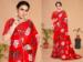 Picture of Sublime Georgette & Net Red Saree