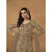 Picture of Elegant Net Dark Khaki Readymade Salwar Kameez