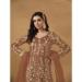 Picture of Sightly Net Sienna Readymade Salwar Kameez