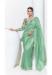 Picture of Beautiful Organza Dark Sea Green Saree