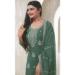 Picture of Organza Medium Sea Green Straight Cut Salwar Kameez