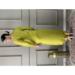 Picture of Statuesque Chiffon Yellow Green Readymade Salwar Kameez