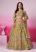 Picture of Elegant Chiffon Burly Wood Lehenga Choli