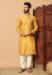 Picture of Fascinating Chiffon Pale Golden Rod Kurtas