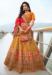 Picture of Graceful Silk Saddle Brown Lehenga Choli