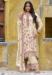 Picture of Admirable Chiffon Beige Straight Cut Salwar Kameez