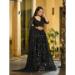 Picture of Statuesque Georgette & Net Black Lehenga Choli