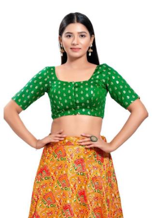 Picture of Graceful Chiffon Green Designer Blouse