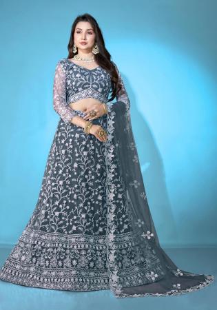 Picture of Amazing Net Slate Grey Lehenga Choli