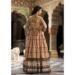 Picture of Charming Silk Sienna Readymade Gown