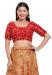 Picture of Radiant Net & Silk Crimson Designer Blouse