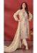 Picture of Statuesque Organza Tan Straight Cut Salwar Kameez