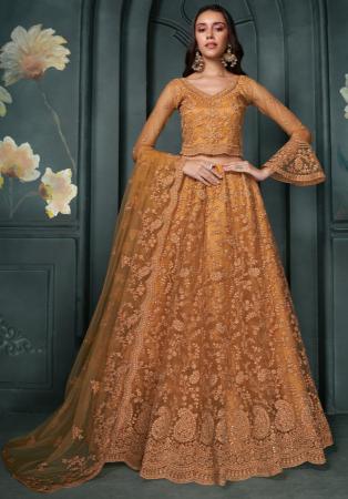 Picture of Ravishing Net Chocolate Lehenga Choli