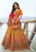 Picture of Bewitching Silk Chocolate Lehenga Choli