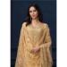 Picture of Chiffon & Organza Pale Golden Rod Straight Cut Salwar Kameez