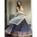 Picture of Silk & Organza Dark Slate Grey Lehenga Choli