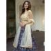 Picture of Silk & Organza Dark Slate Grey Lehenga Choli