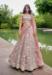 Picture of Amazing Rayon Light Grey Lehenga Choli