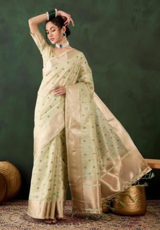 Picture of Shapely Organza Tan Saree