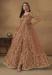 Picture of Sightly Net Sienna Readymade Salwar Kameez