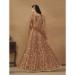 Picture of Sightly Net Sienna Readymade Salwar Kameez