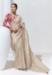 Picture of Delightful Organza Tan Saree