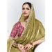 Picture of Wonderful Organza Sandy Brown Saree