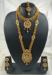 Picture of Fine Golden Rod Necklace Set