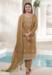 Picture of Organza Dark Khaki Straight Cut Salwar Kameez