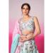 Picture of Statuesque Chiffon Powder Blue Lehenga Choli