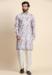 Picture of Superb Cotton Silver Kurtas