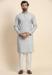 Picture of Elegant Cotton & Georgette Gainsboro Kurtas