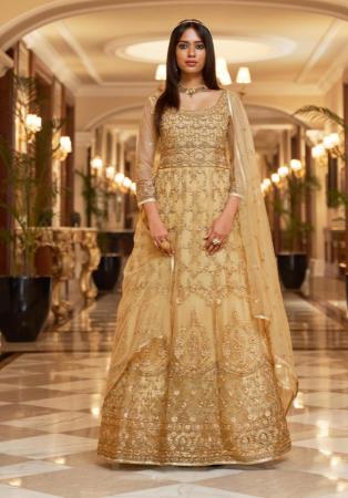 Picture of Marvelous Net Bisque Anarkali Salwar Kameez