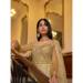 Picture of Gorgeous Net Beige Anarkali Salwar Kameez