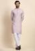 Picture of Wonderful Rayon Thistle Kurtas