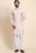 Picture of Fascinating Rayon Thistle Kurtas