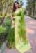 Picture of Pretty Organza Olive Saree