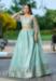 Picture of Georgette & Net Dark Sea Green Lehenga Choli