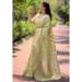 Picture of Ideal Organza Tan Saree