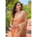 Picture of Lovely Organza Peru Saree