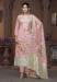 Picture of Organza Burly Wood Straight Cut Salwar Kameez