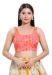 Picture of Splendid Net & Silk Light Salmon Designer Blouse